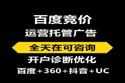 揭秘百度包年竞价优势：成功案例深度解析